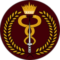 Bahrain Defence Force Royal Medical Services